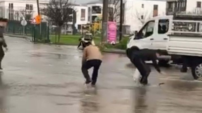 Asfalttan balık topladılar