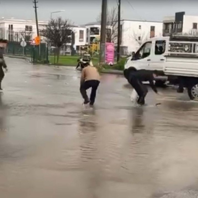 Asfalttan balık topladılar