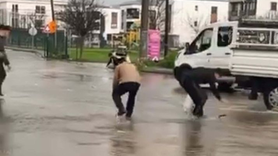 Asfalttan balık topladılar