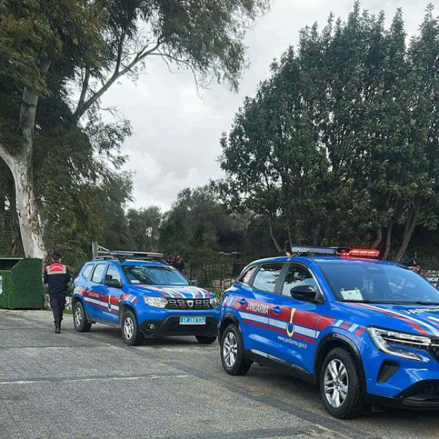 2 köpeği vurdu! Tutuklama talep edildi