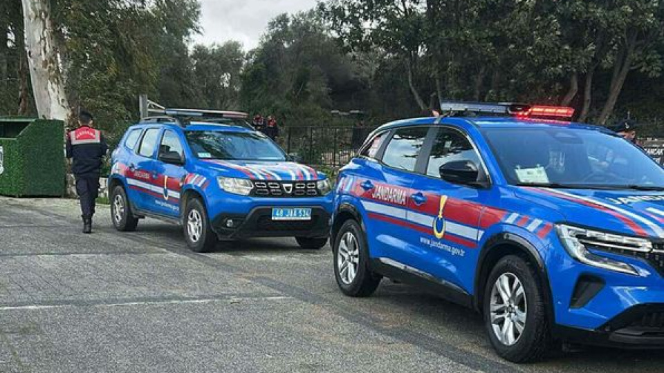 2 köpeği vurdu! Tutuklama talep edildi