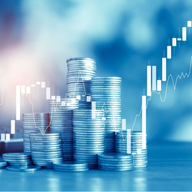 Empa Elektronik halka arz oluyor