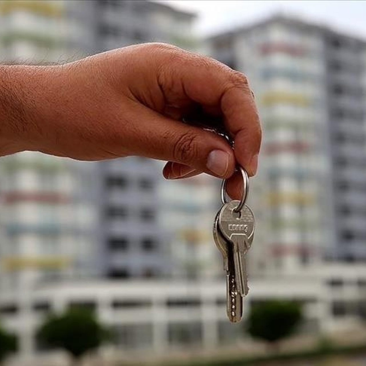 İlanlarda doğrulama dönemi başlıyor