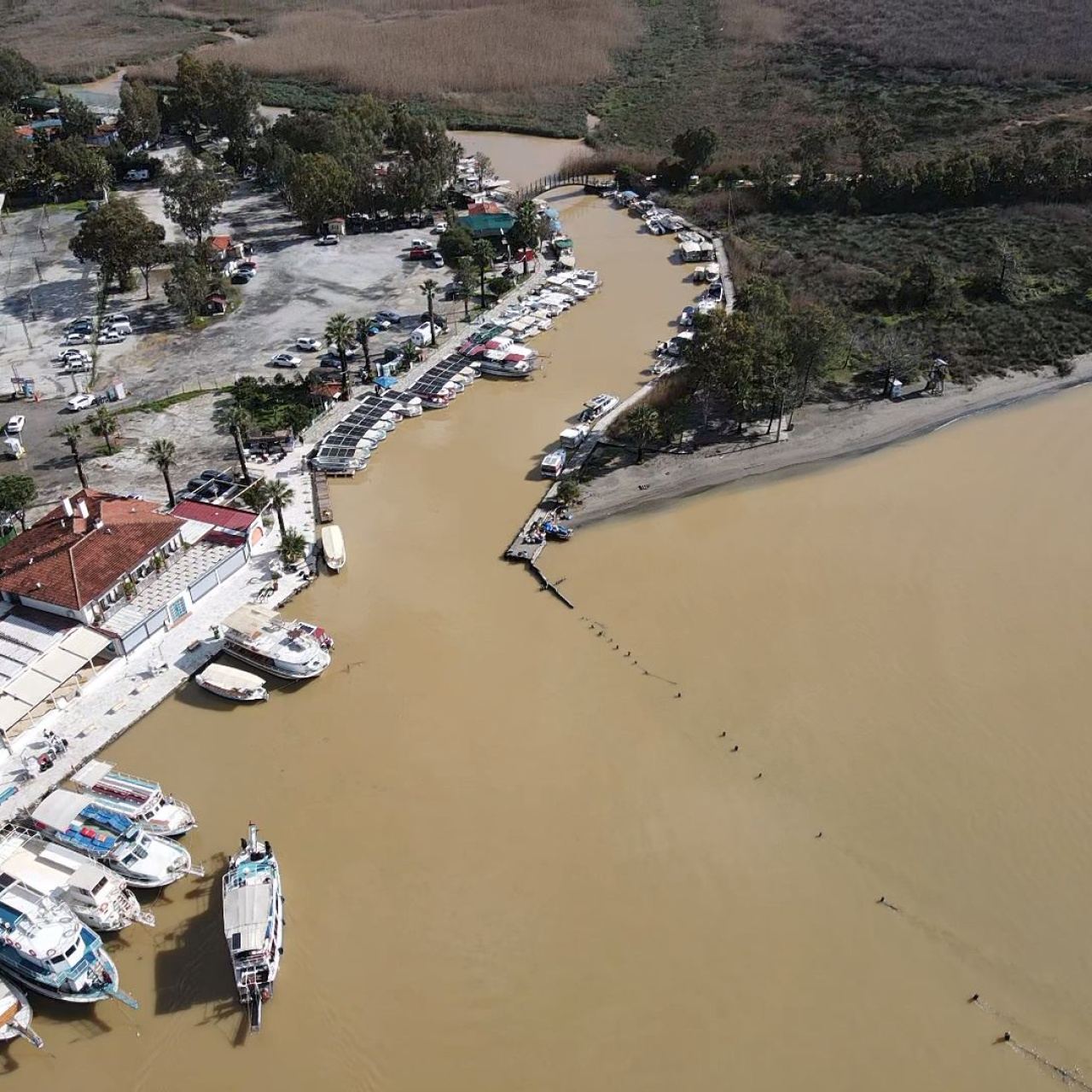 Gökova mavisinden eser kalmadı!