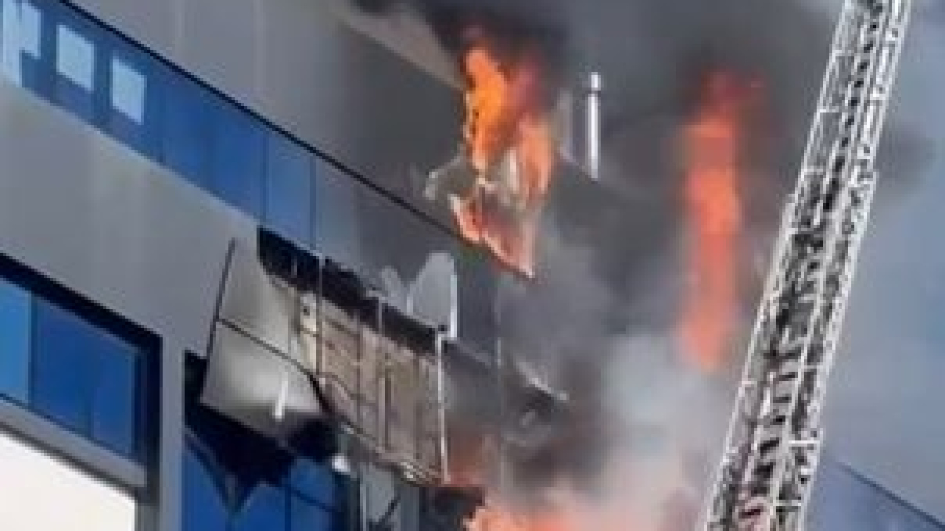Gebze'de Peynir Üretim Tesisi Yönetim Binasında Çıkan Yangın Kontrol Altına Alındı