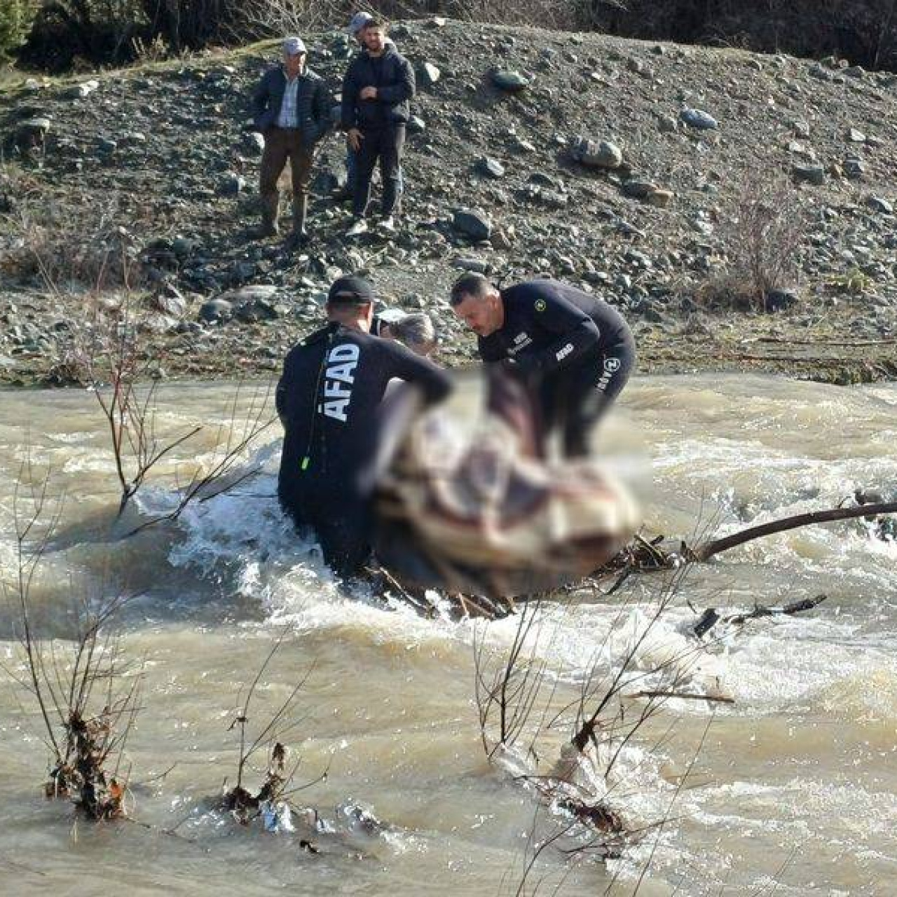 Kayıp kadın dere yatağında ölü bulundu