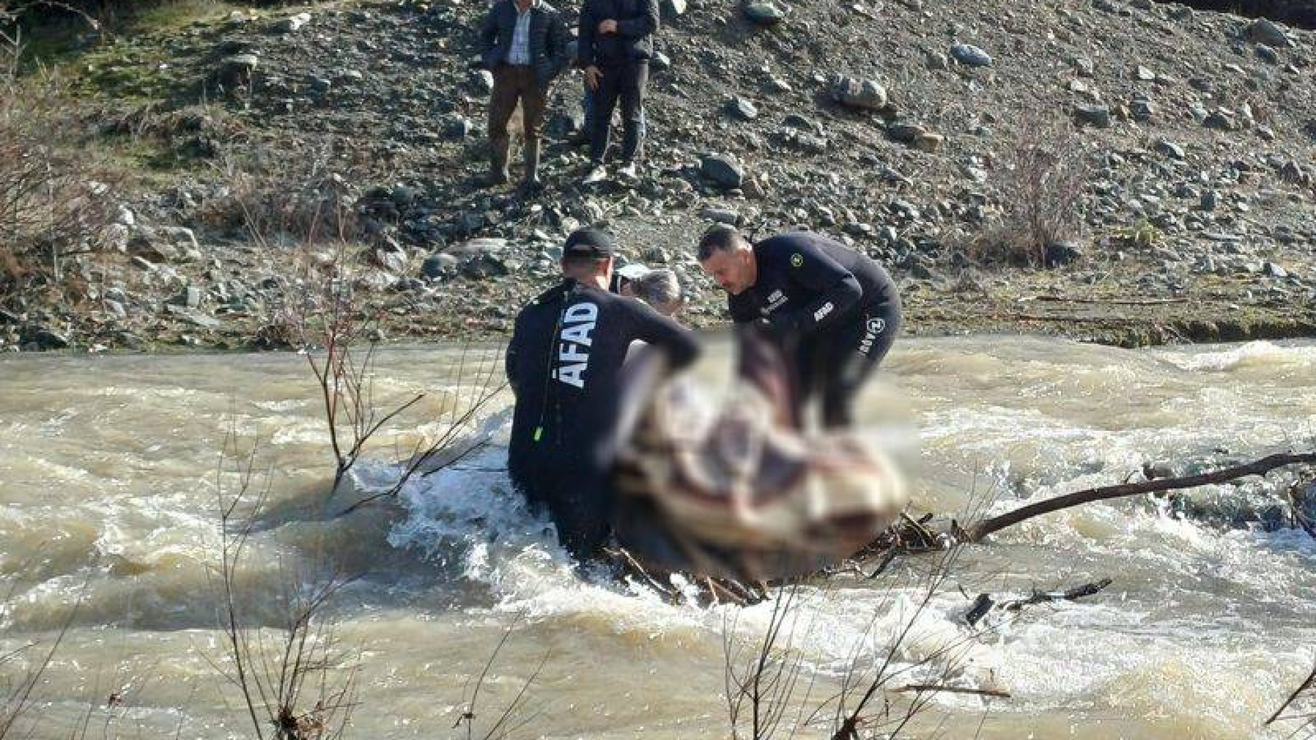 Son dakika: Tokat'ta kayıp kadının dere yatağında cansız bedeni bulundu | Son dakika haberleri