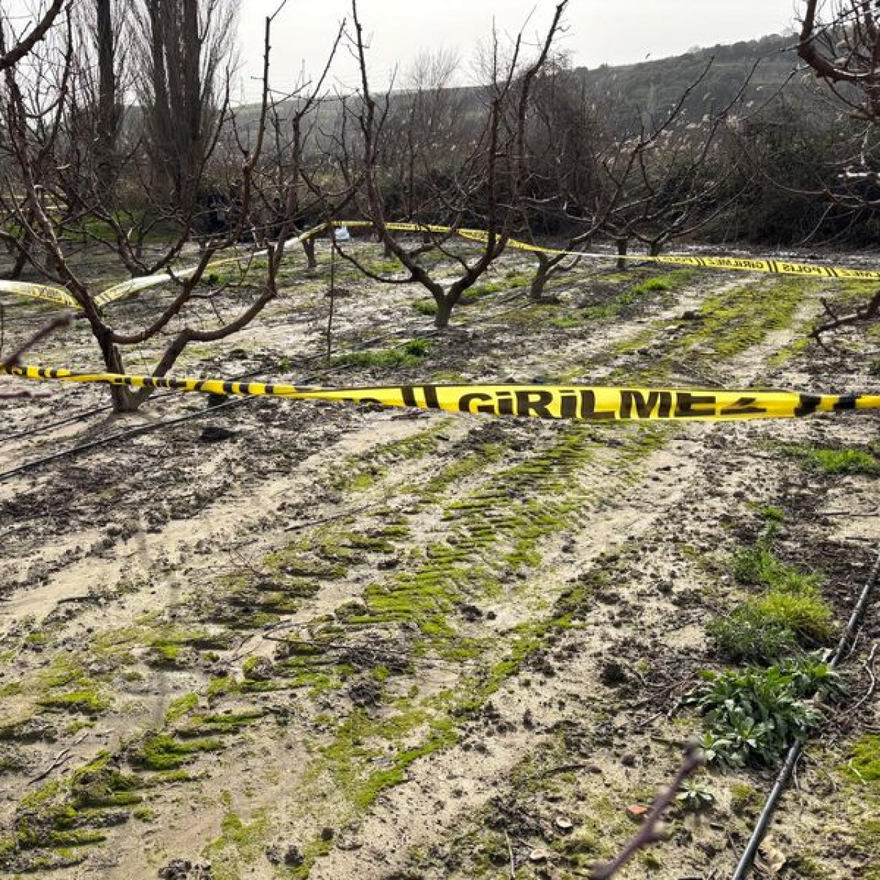 Meyve bahçesinde ölü bulundu