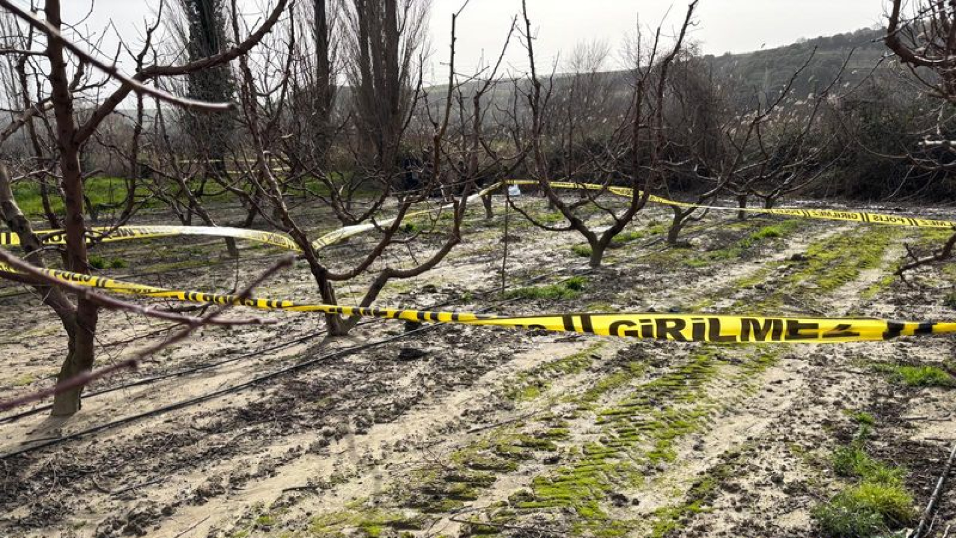 Son dakika: Çanakkale'de kayıp olarak aranan 86 yaşındaki adamın cansız bedeni meyve bahçeleri yakınında bulundu | Son dakika haberleri