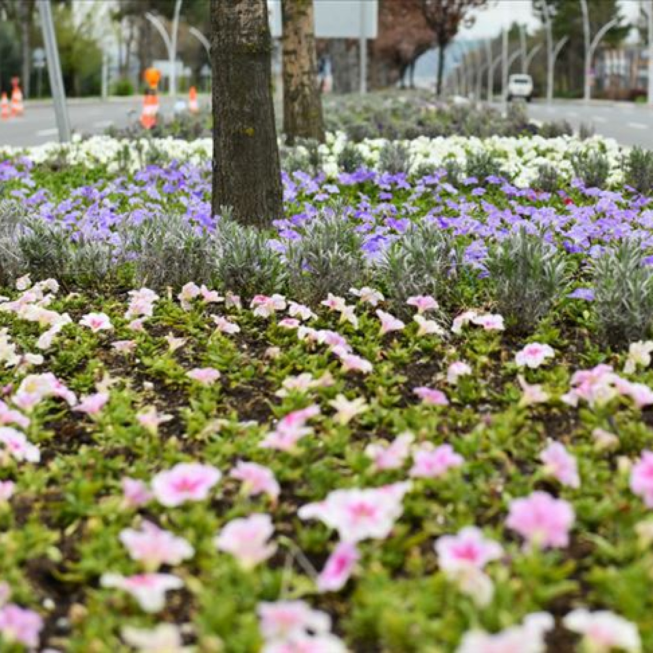 Cemre düşme tarihleri 2026