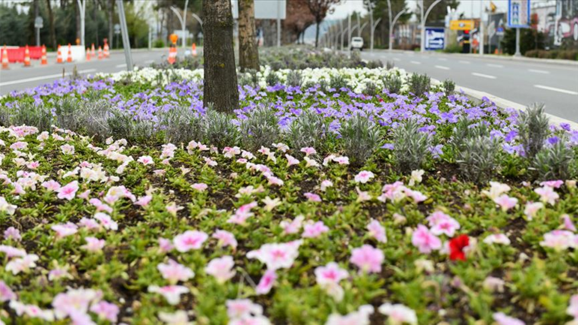 Cemreler ne zaman ve nereye düşecek, ilk cemre düştü mü? Cemre düşme tarihleri 2026