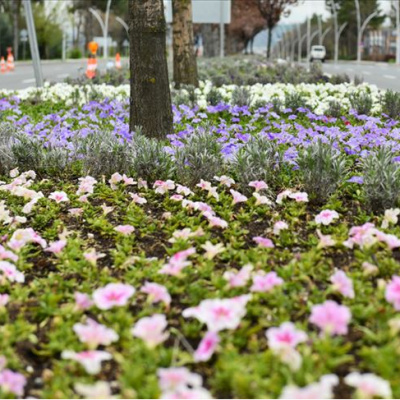 Cemre düşme tarihleri 2026