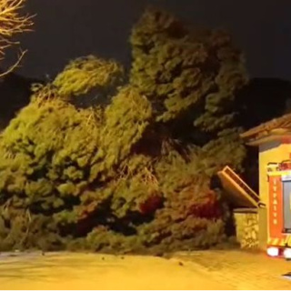 Kuvvetli fırtına hayatı olumsuz etkiledi