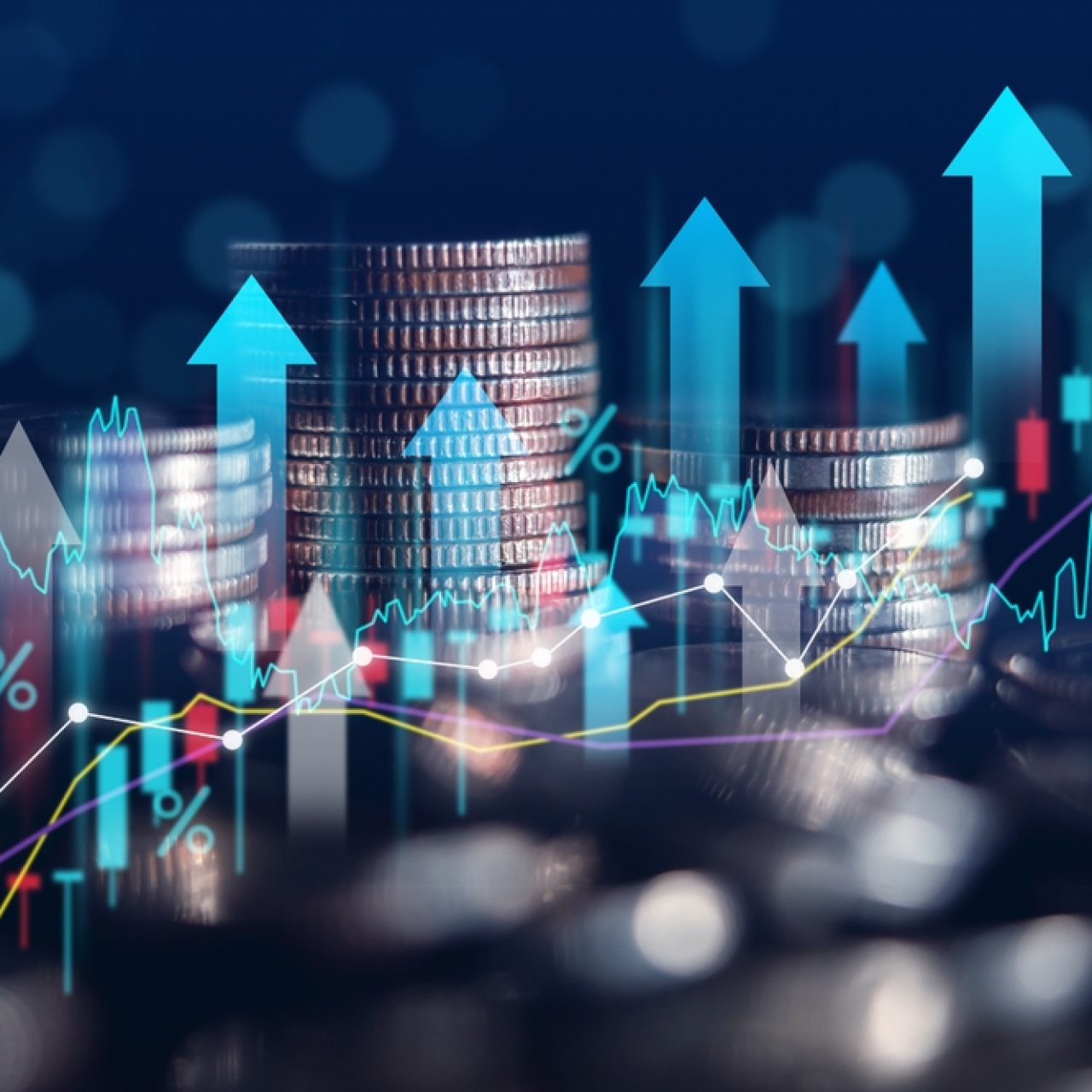 Ata Turizm halka arz sonuçları açıklandı mı?
