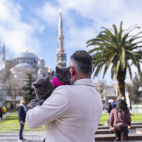 'Seyyah kedi'nin İstanbul turuna yavrusu da katıldı