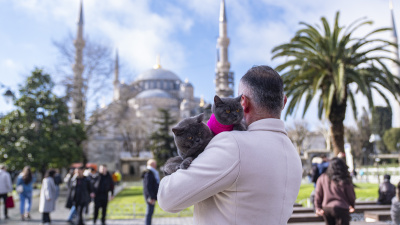 'Seyyah kedi'nin İstanbul turuna yavrusu da katıldı