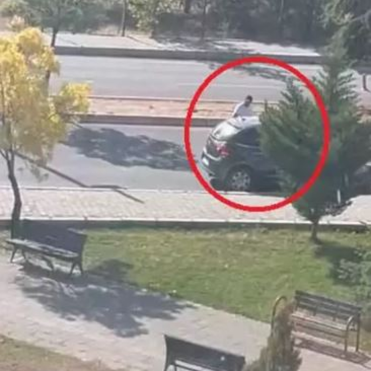 Üniversitedeki kadın cinayetinde katil, hakim karşısında!