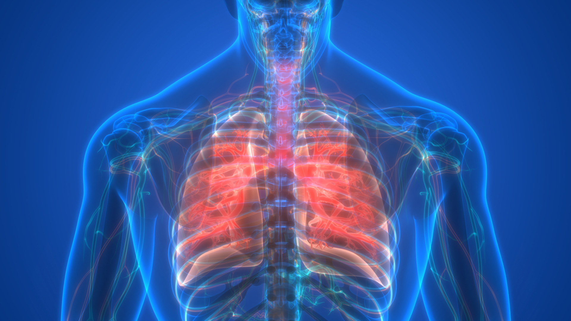 Çöl tozu alarmı! Akciğere zarar veriyor | Sağlık Haberleri