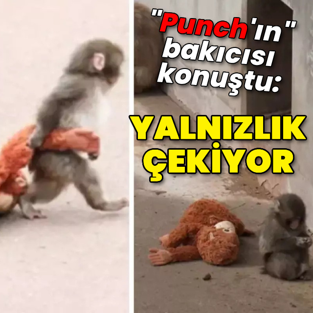 "Punch"ın bakıcısı konuştu