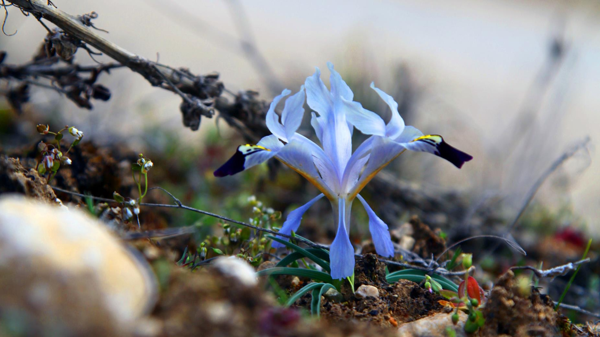 Cemre düşme tarihleri: 2026 Cemre havaya, suya, toprağa ne zaman düşecek, ilk Cemre düştü mü?