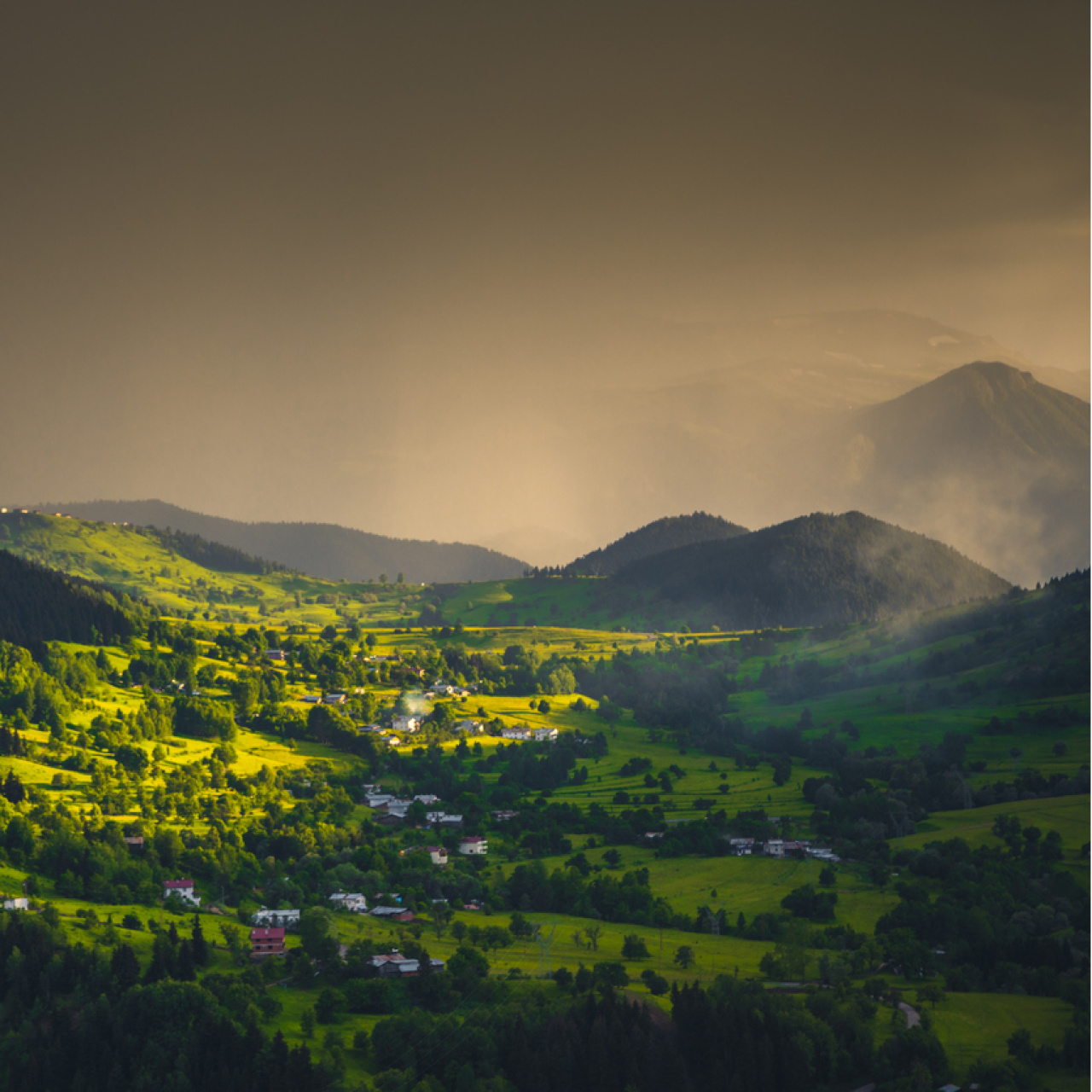 Artvin'in neyi meşhur?