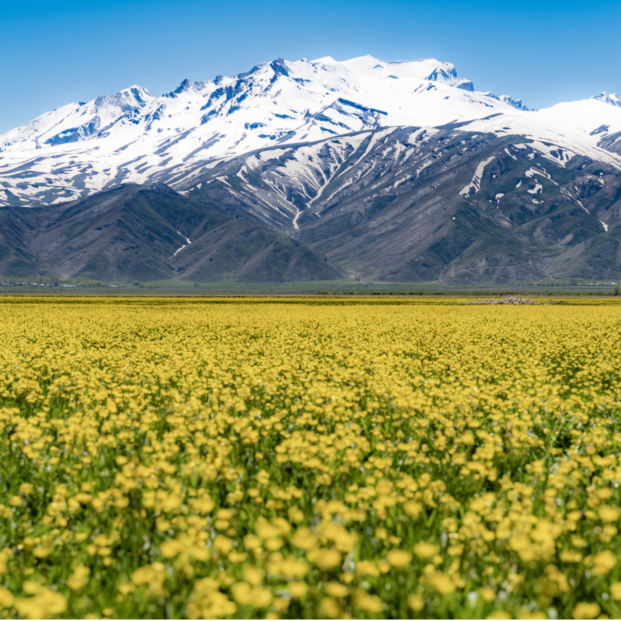 Hakkari'nin neyi meşhur?