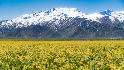 Hakkari'nin neyi meşhur?