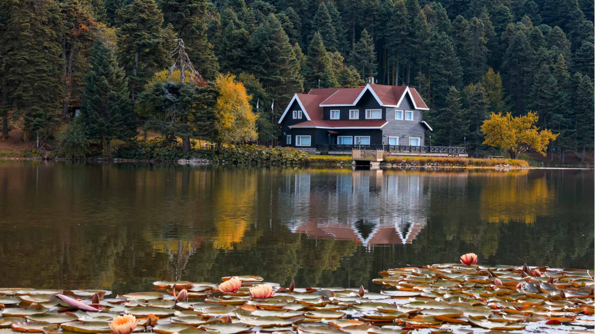 Bolu'nun neyi meşhur? Bolu'da ne yenir, ne alınır, neresi gezilir?