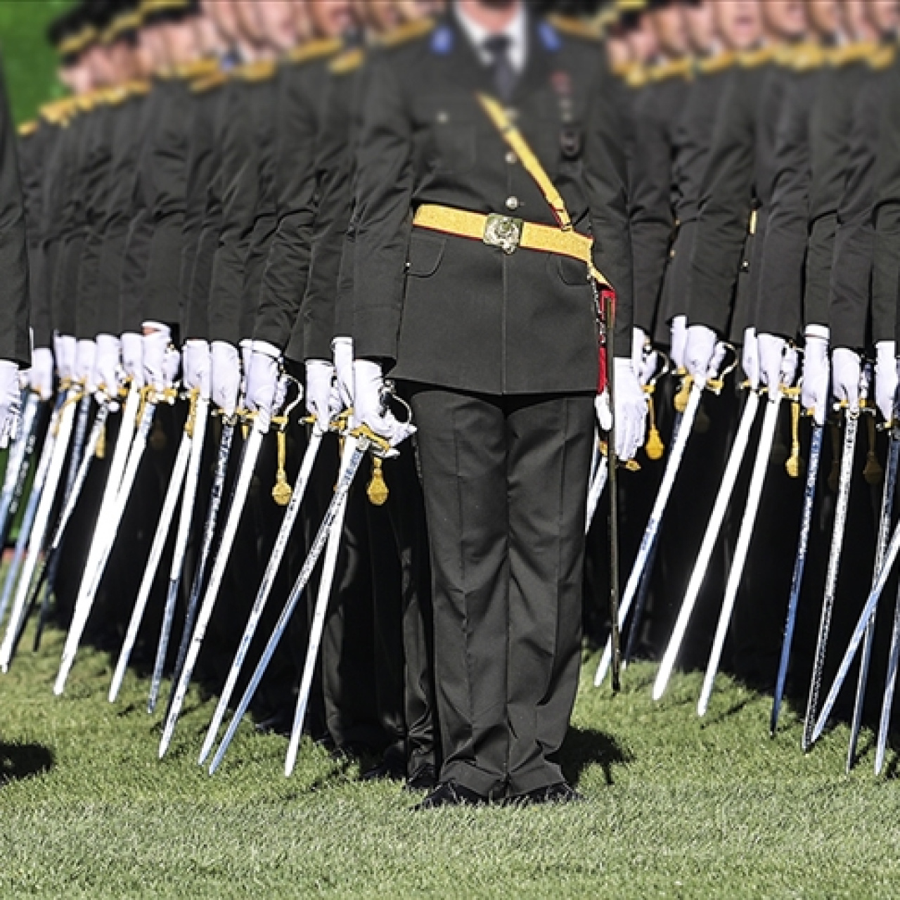 MSÜ sınav giriş belgesi sorgulama ekranı