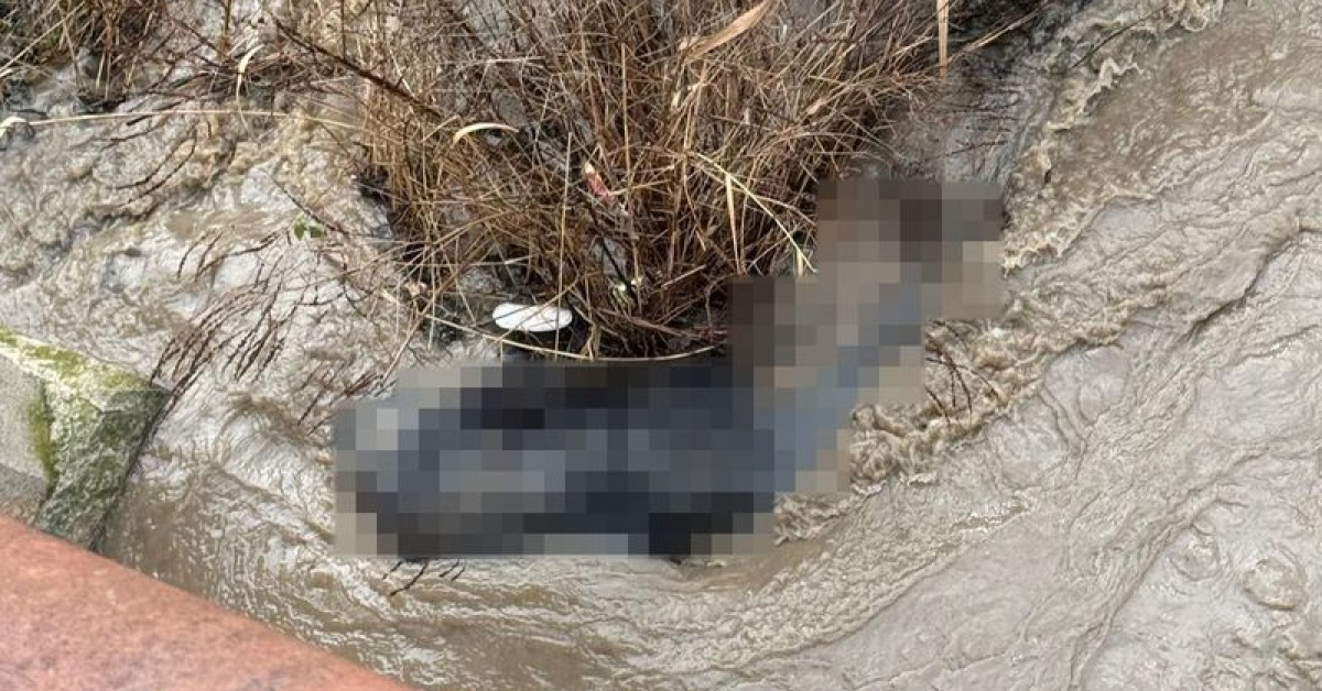 'Lüleburgaz'da Dere Yatağında Cansız Beden Bulundu' Haberi