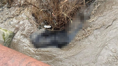 Dere yatağında cansız beden bulundu