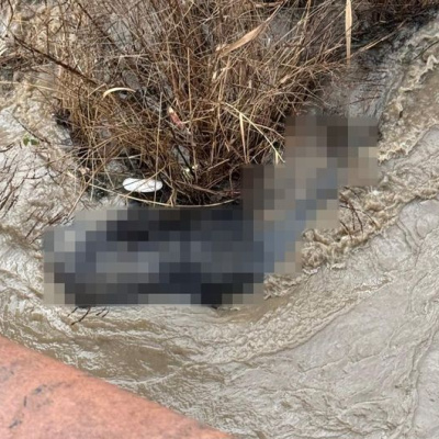 Dere yatağında cansız beden bulundu