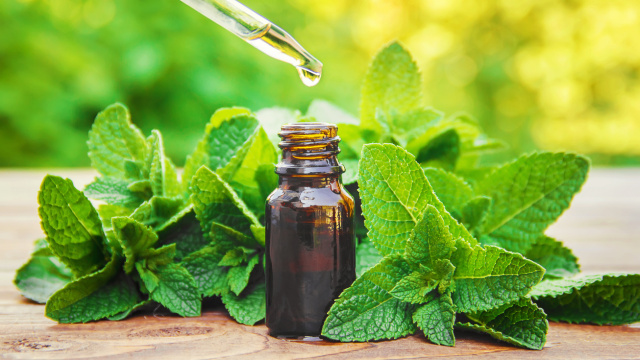 Nane yağı migrene iyi gelir mi?