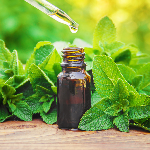 Nane yağı migrene iyi gelir mi?