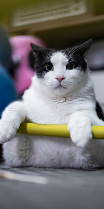 12 kiloyu gördü! Diyet ve pilatesle zayıflıyor