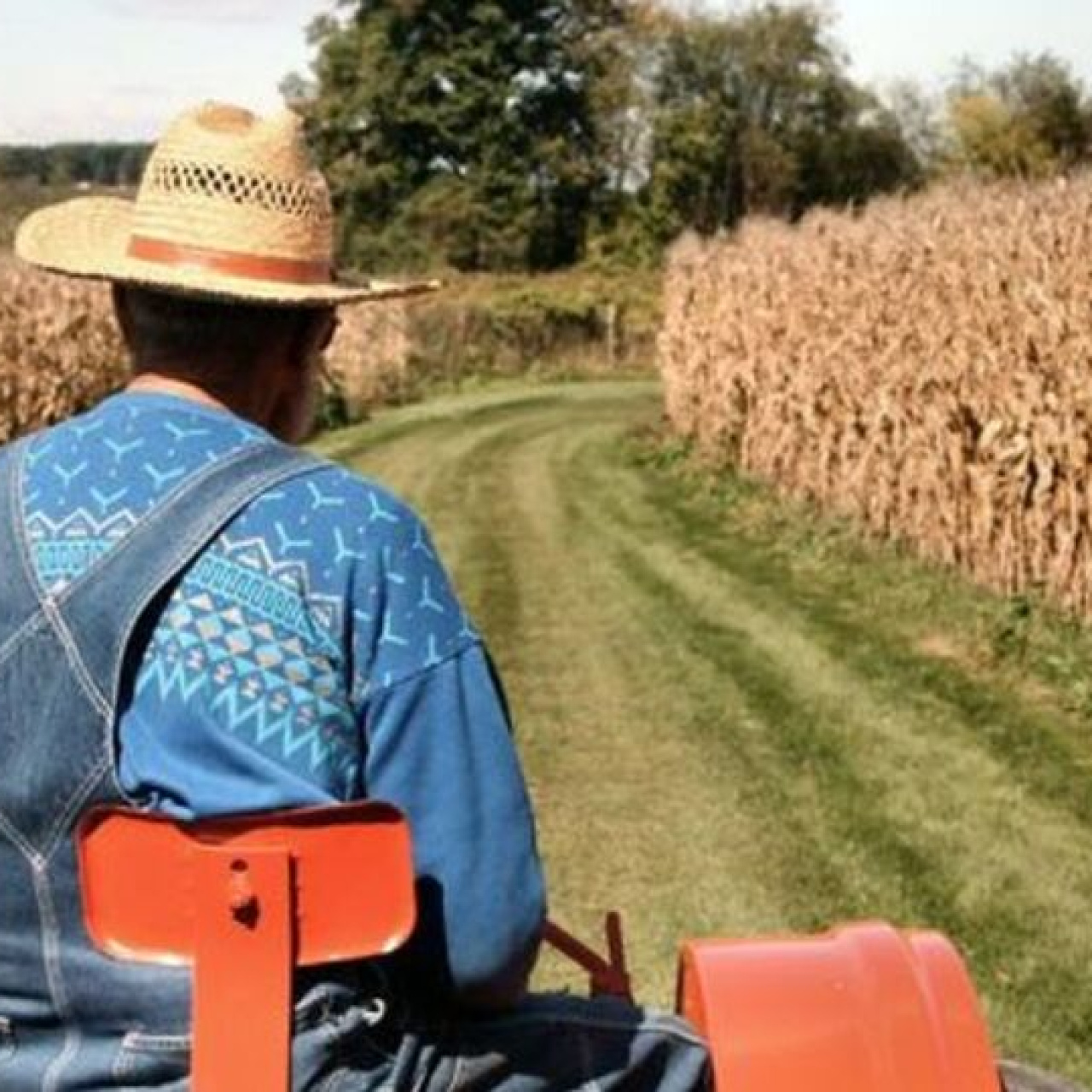 Mazot ve gübre desteği yattı mı?