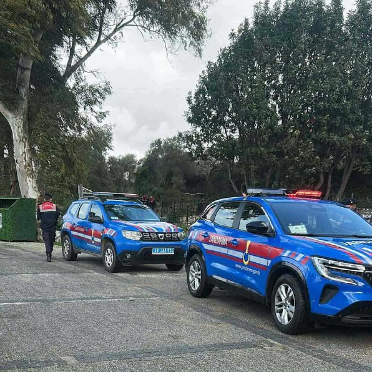 2 sokak köpeğini vuran şüpheli tutuklandı