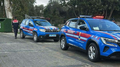 2 sokak köpeğini vuran şüpheli tutuklandı