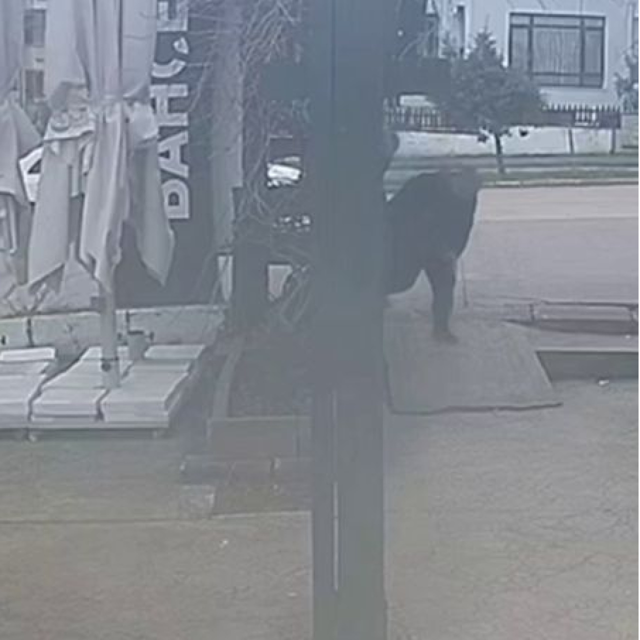 Tabancayla ayağından vuruldu