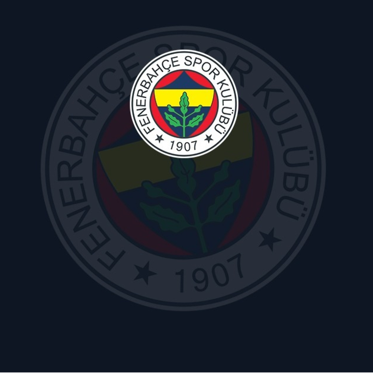 'Fenerpara'nın tanıtımı gerçekleştirildi