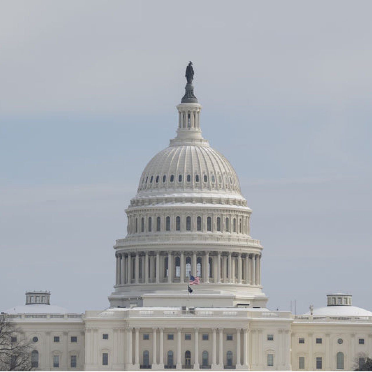 ABD'de Kongre Binasına doğru koşan şüpheli gözaltında