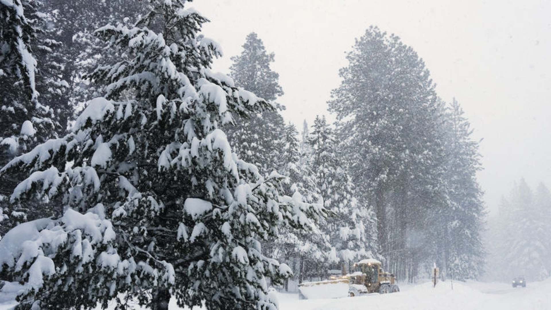ABD'nin California eyaletinde meydana gelen çığda …