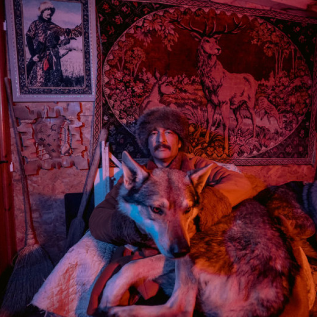 Sivas'ın bozkırında kurt köpekleriyle yaşıyor