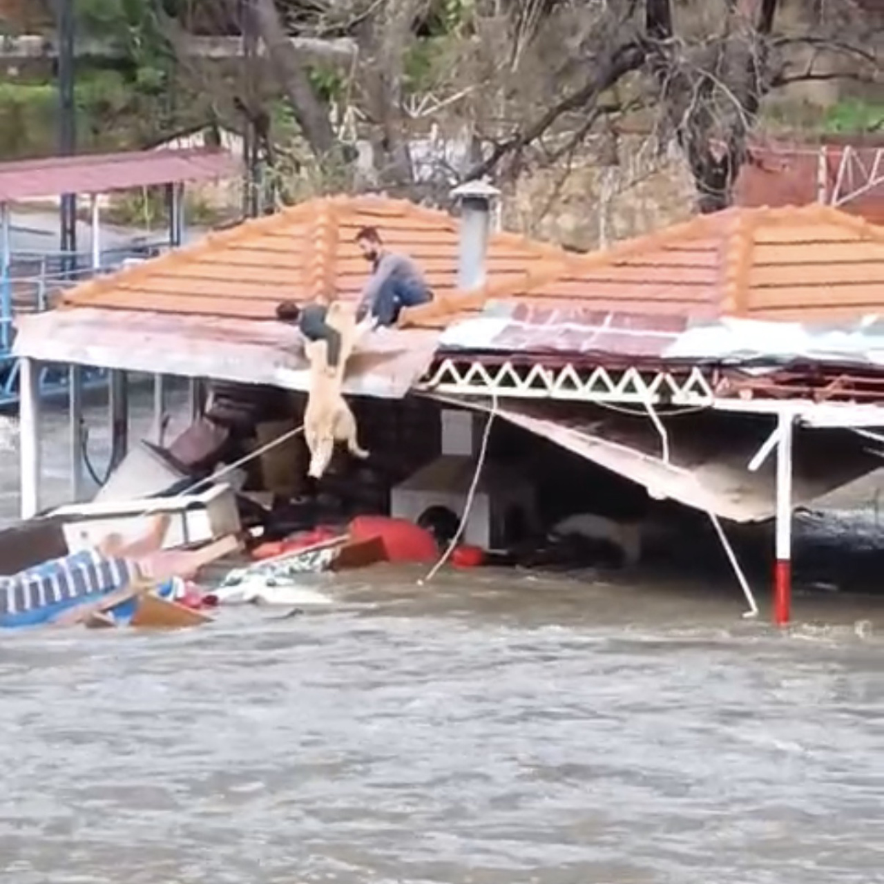 'Paşa'yı canları pahasına kurtardılar!
