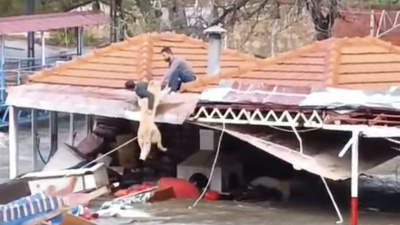 'Paşa'yı canları pahasına kurtardılar!