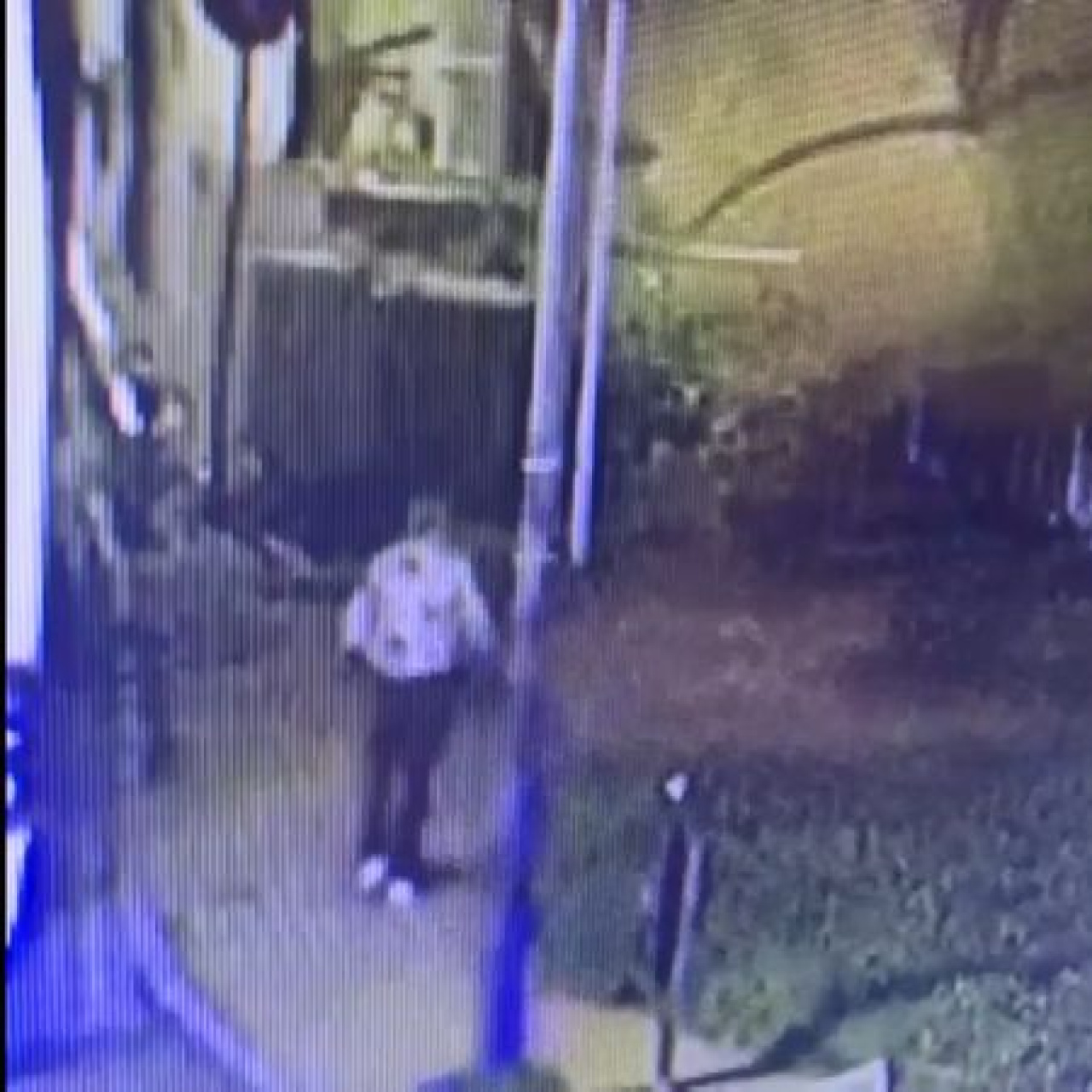 Öldürdü, kontrol etmeye gitti!