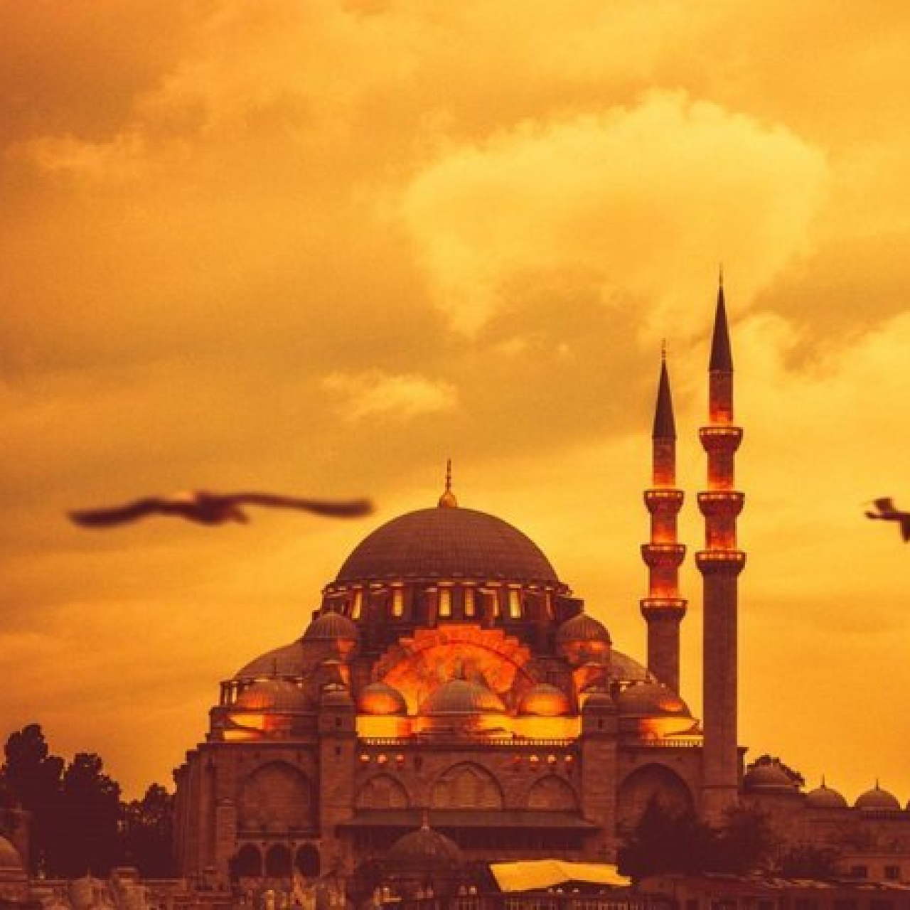 Ramazan ayı ibadetleri