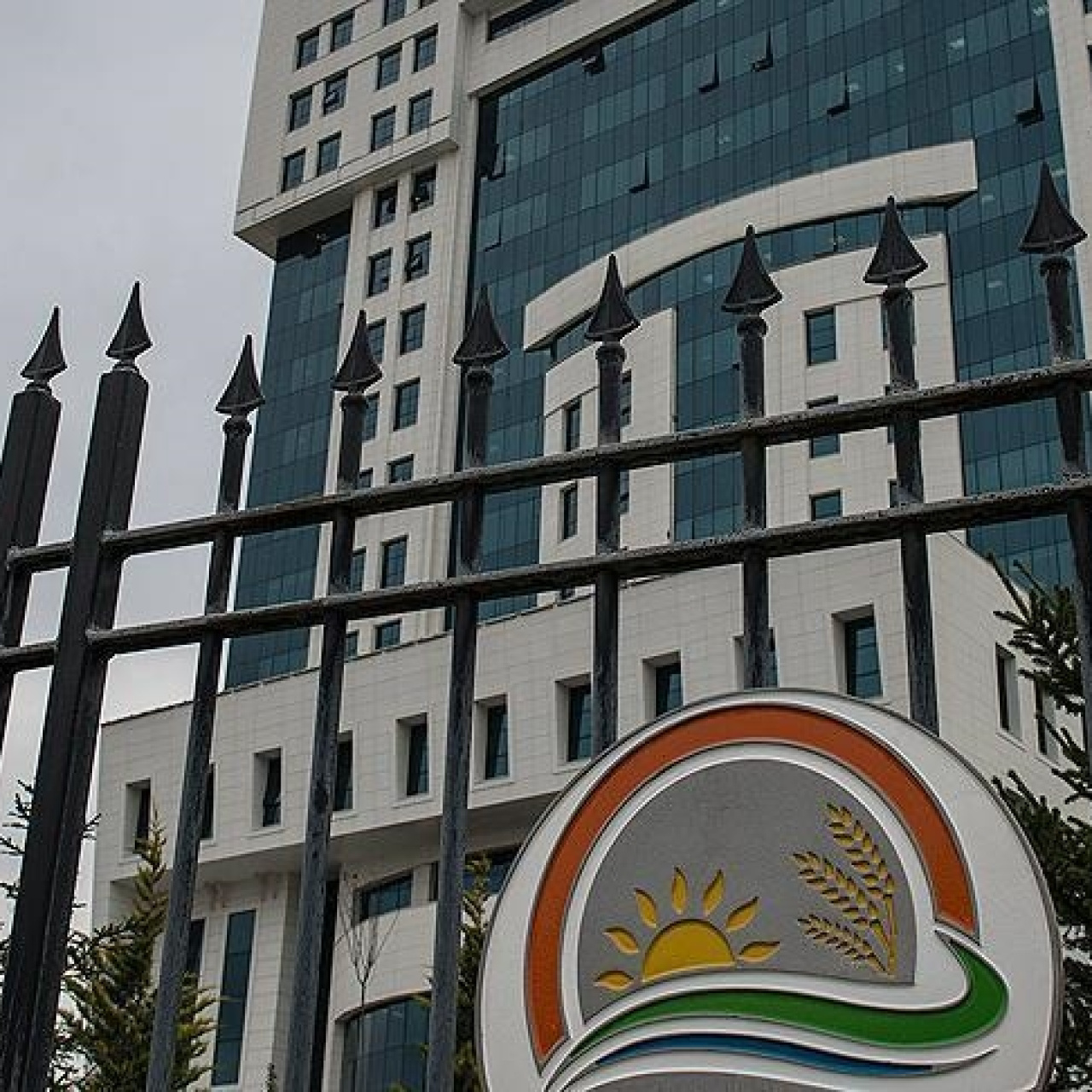 "100 milyon liralık yarış atları kayıp" iddiasına yalanlama