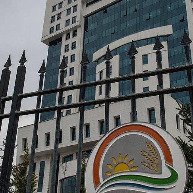 "100 milyon liralık yarış atları kayıp" iddiasına yalanlama