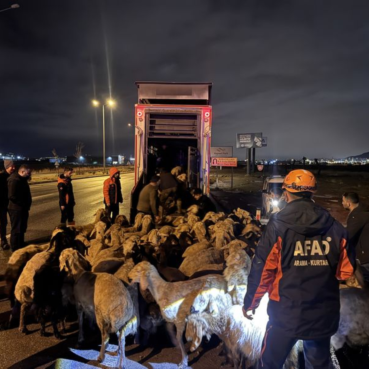 Kayseri'de taşkın riski: 200 hayvan tahliye edildi